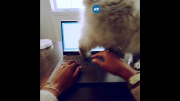 Protect What Matters Most with Safestreets | The Trusted Choice in Home Security