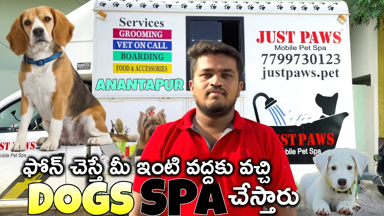 Anantapur Just Paws Van Service For Pets Dogs Spa In Van Anantapur anantapur-just-paws-van-service-for-pets-dogs-spa-in-van-anantapur