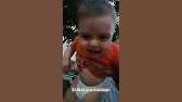 Орхидеи,узамба́рские фиалки,Самара🌺