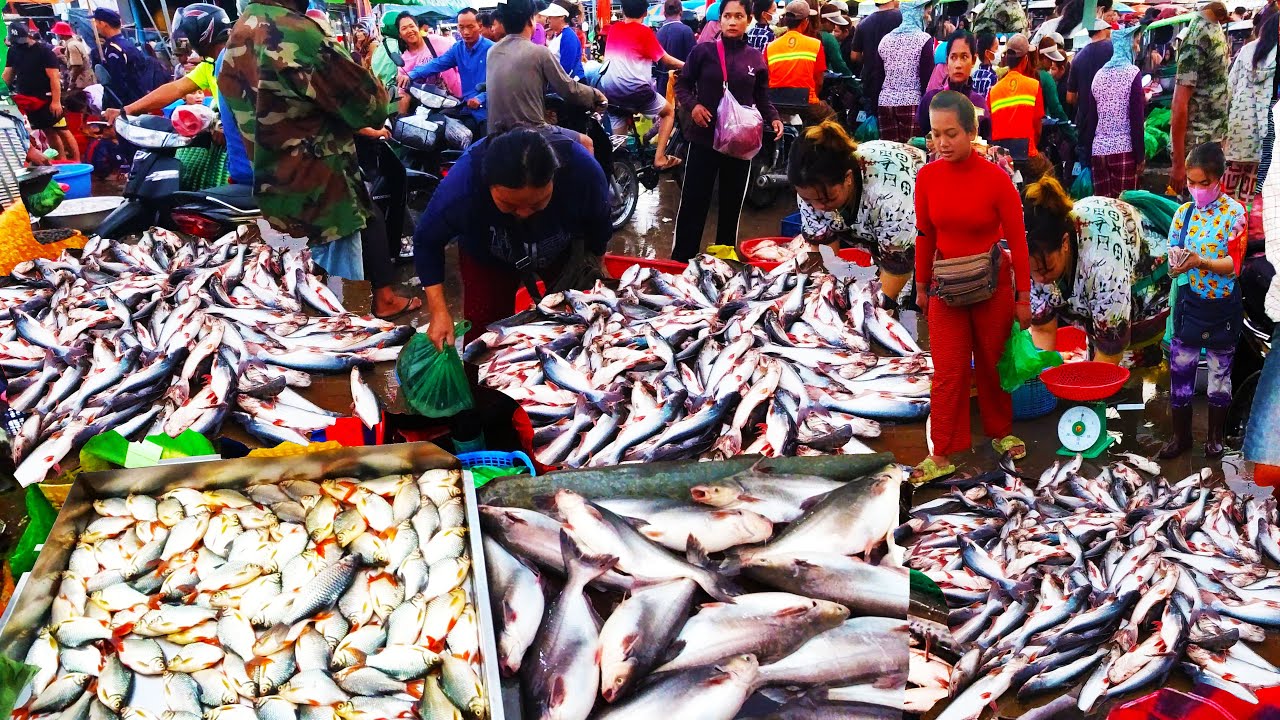 Fish & Seafood Distribution Prek Phnov Plenty Alive Fish, Seafood