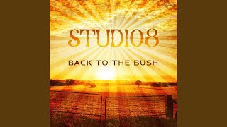 Back to the Bush
