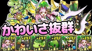 木コットンの背景にいるキャラでダンジョンに挑戦！【パズドラ】