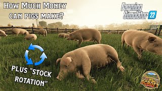 How Much Money Can Pigs Make? | Farming Simulator 22