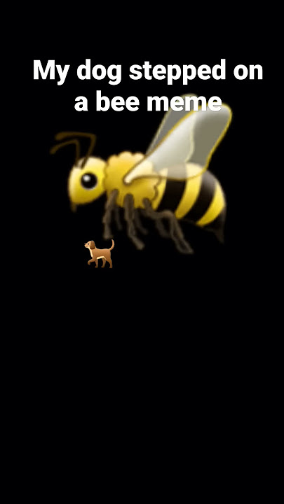 My Dog Stepped on a Bee” – Green Screen