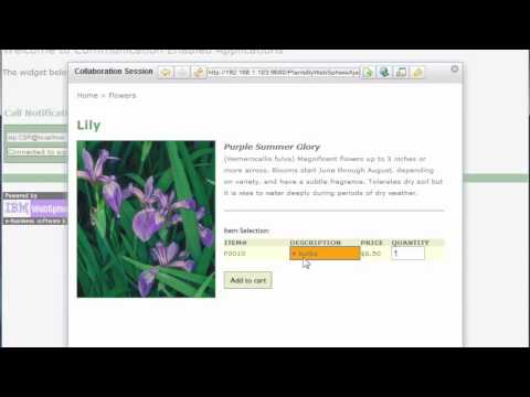 Short JavaScript Widget Walkthrough