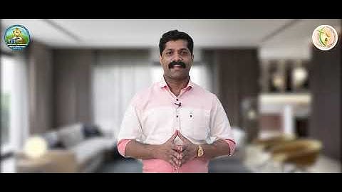 Sunday Catechism | Standard 6 | Chapter 12 | Part 2 | Mr.  Anish Vazhathope