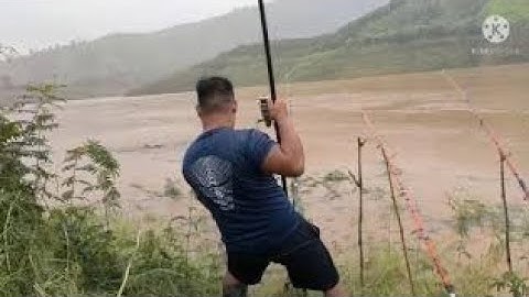 Câu cá mùa nước lũ và cái kết