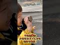 【自然農法】木酢液で防虫と土壌改良で美味しい果物をつくる！ #自然農法 #現代農業 #山暮らし #農業
