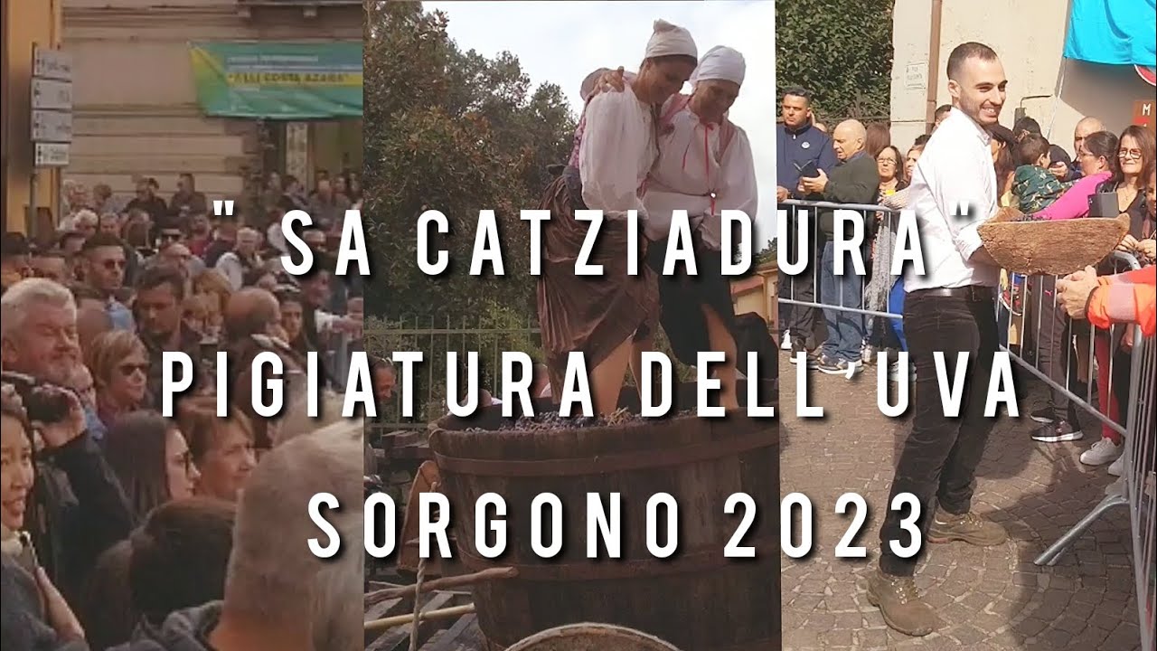 Sa catziadura: pigiatura dell’uva autunno in Barbagia Sorgono #2023 #sardegna #mandrolisai