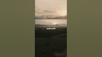 بالنبرة النادرة، تلاوة رائعة لأواخر سورة الحشر للمنشاوي #quran #المنشاوي