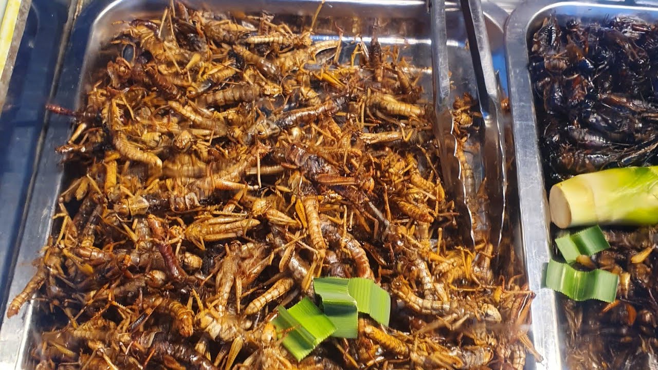 Insects as food in Pattaya in Thailand. Thai Street Food 17.March.2021 ...