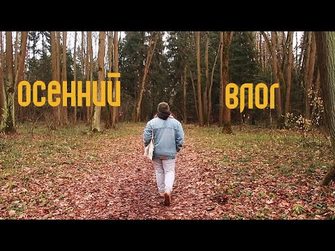 Видео: Деревня осенью, самая скучная книга года и собачий приют