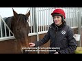 A FAMILY AFFAIR: LIFE AT HARRY FRY'S TRAINING YARD