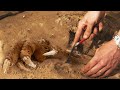 15 Descubrimientos Arqueológicos Que Son Simplemente Asombrosos