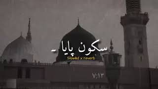 Sukoon paya peaceful naat slowed Reverb #goviral #viralvideo #naat #viralvideo   tilawat 240p, h264