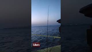 26 De Janeiro De 2022