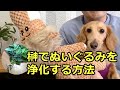 榊で「ぬいぐるみ」を浄化する方法（叩く）