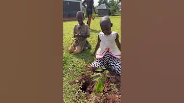 Tree Planting Day 2025 At Buhubalo Children Foundation Uganda 