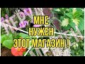ЛЕРУА МЕРЛЕН Мне нужен этот магазин! МЯТА ведрами/ Ух ты, ГЕРАНЬ то какая!/ Не узнала Львиный Зев!