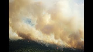 What is forest fire smoke?