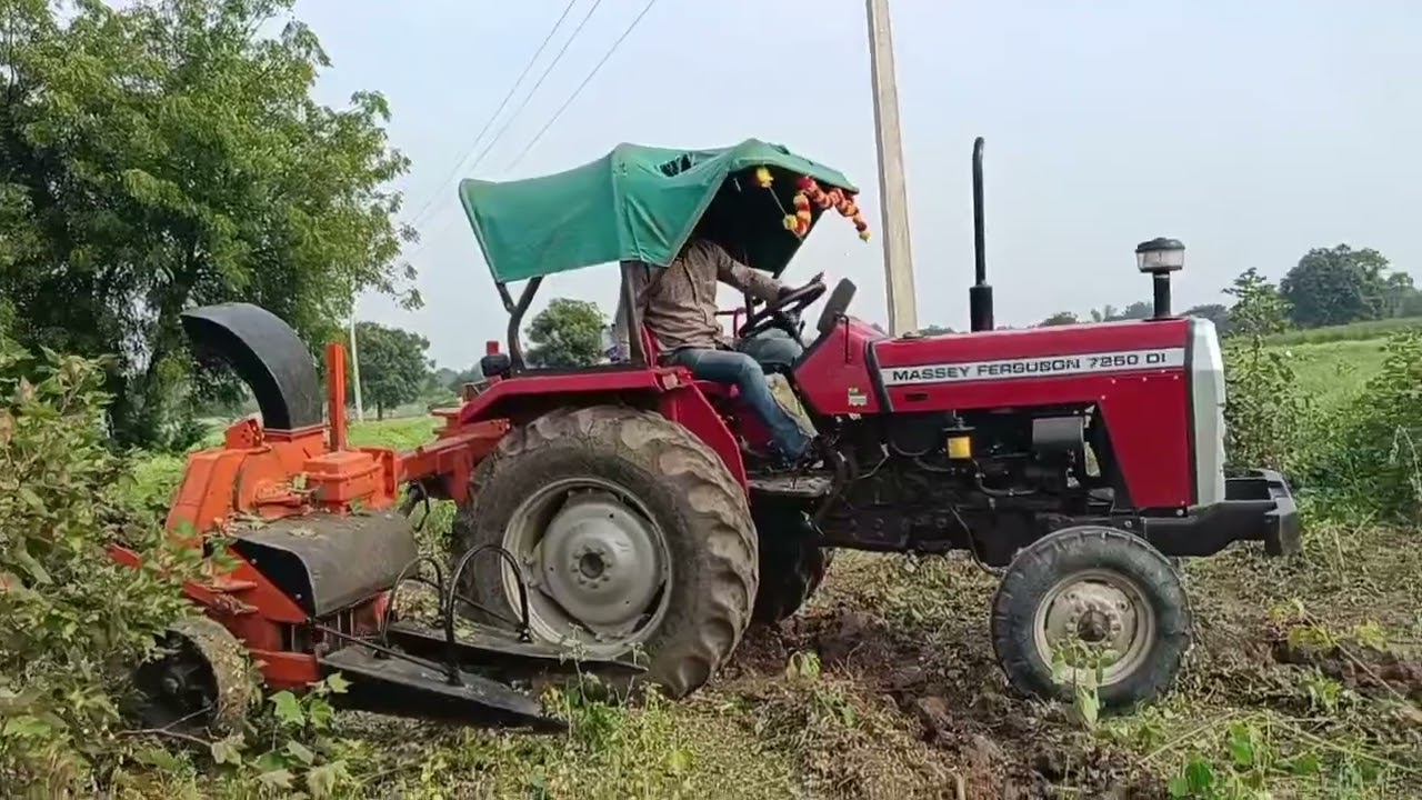 सेंद्रिय कर्ब वाढवण्यासाठी कपाशीचा भुसा 820763726
