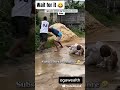 wait for it 😂#comedie #comedyvideo #funny