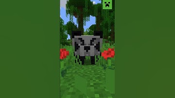 Panda emotions 101: Whatever their mood, cake is always the answer!