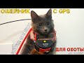 HUNTER GPS 25000 с Aliexpress - ошейник с приемником GPS для отслеживания собаки на охоте.