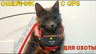 HUNTER GPS 25000 с Aliexpress - ошейник с приемником GPS для отслеживания собаки на охоте.