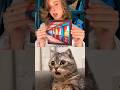 Target 50k views #cat