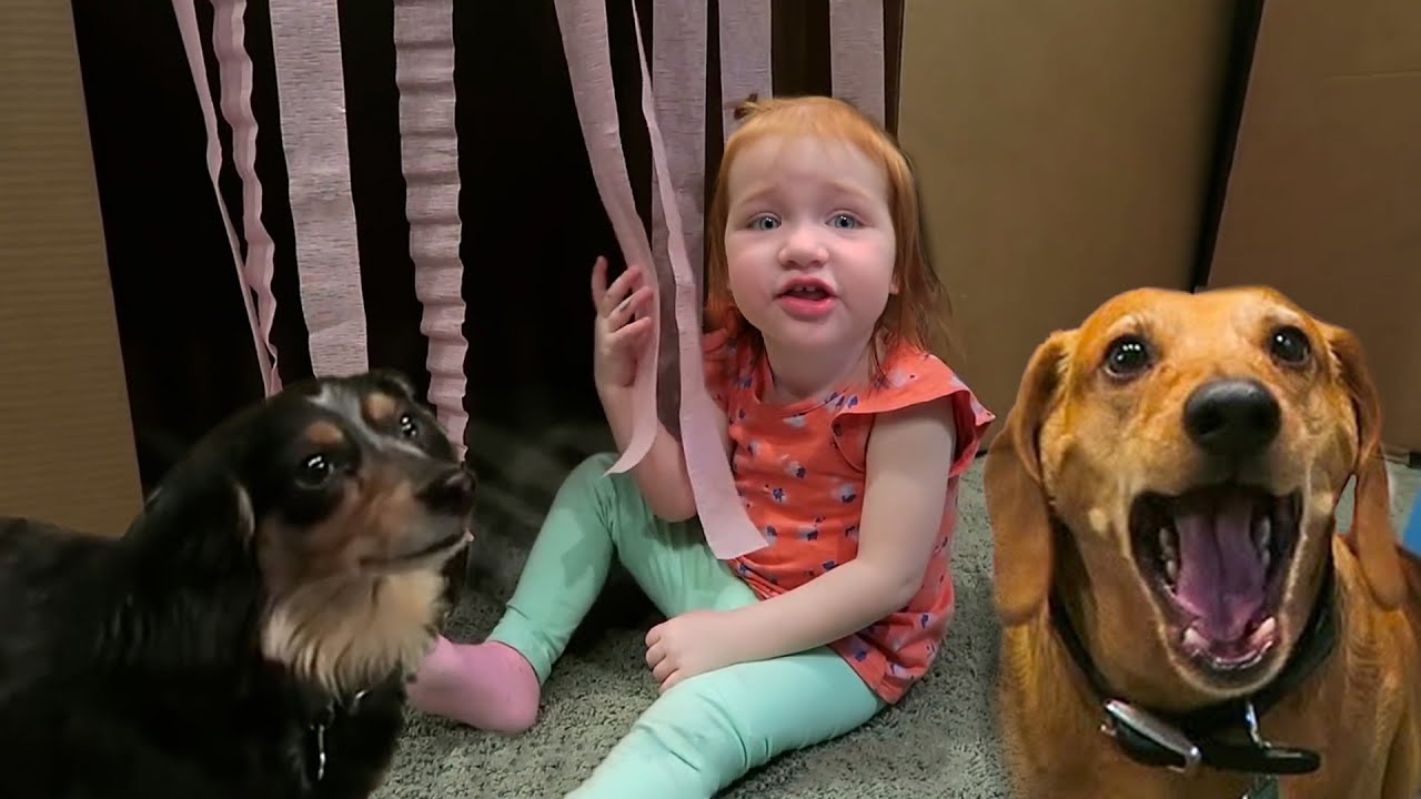 BOX FORT Hide N Seek!! Adley and Mom try and find the best hiding spots