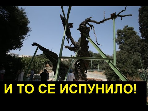 ВЕЛИКО ЗНАМЕЊЕ ПОСЛЕДЊИХ ВРЕМЕНА! - ПАД ХРАСТА ПОД КОЈИМ ЈЕ СЕДЕО БОГ!