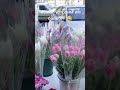 с праздником, девушки ! #8марта #тюльпаны #цветы #бакот #мем
