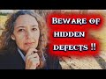 You should go look at the place in person, don't trust photos online..