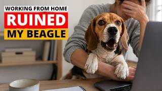 Working From Home Causing MAJOR PROBLEMS in Beagle