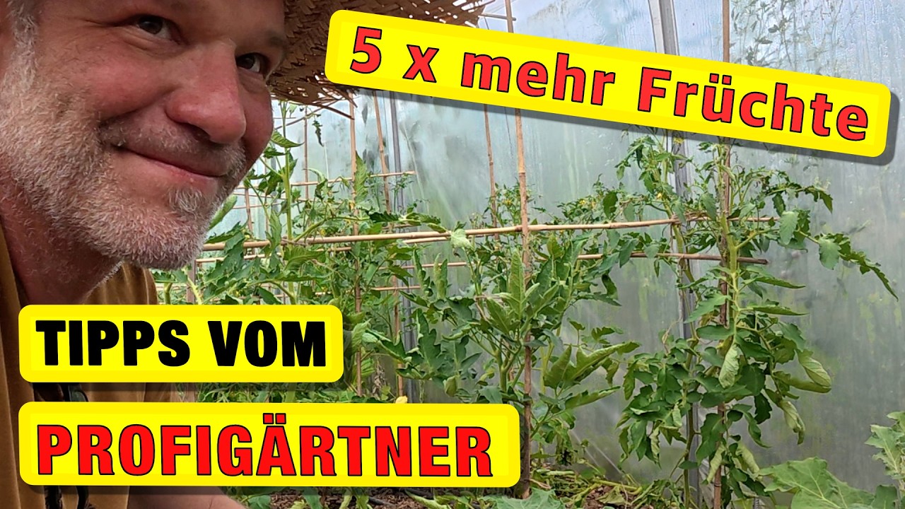 So hast du 5 Mal mehr Ertrag (Tipp vom Profigärtner)