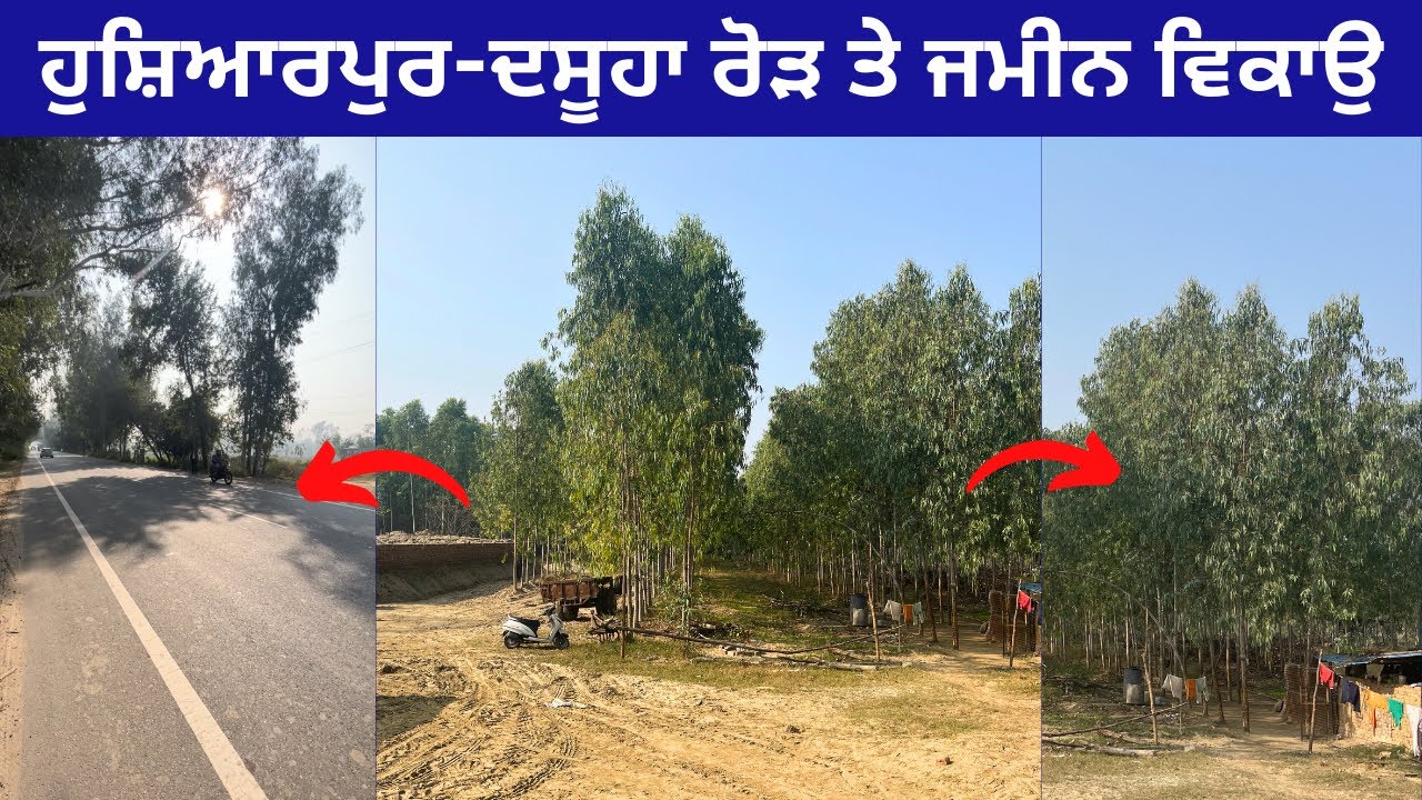 10 ਕਨਾਲ ਜਮੀਨ , ਮੇਨ ਰੋੜ ਦਾ ਫਰੰਟ । commercial and for sale near Hoshiarpur punjab