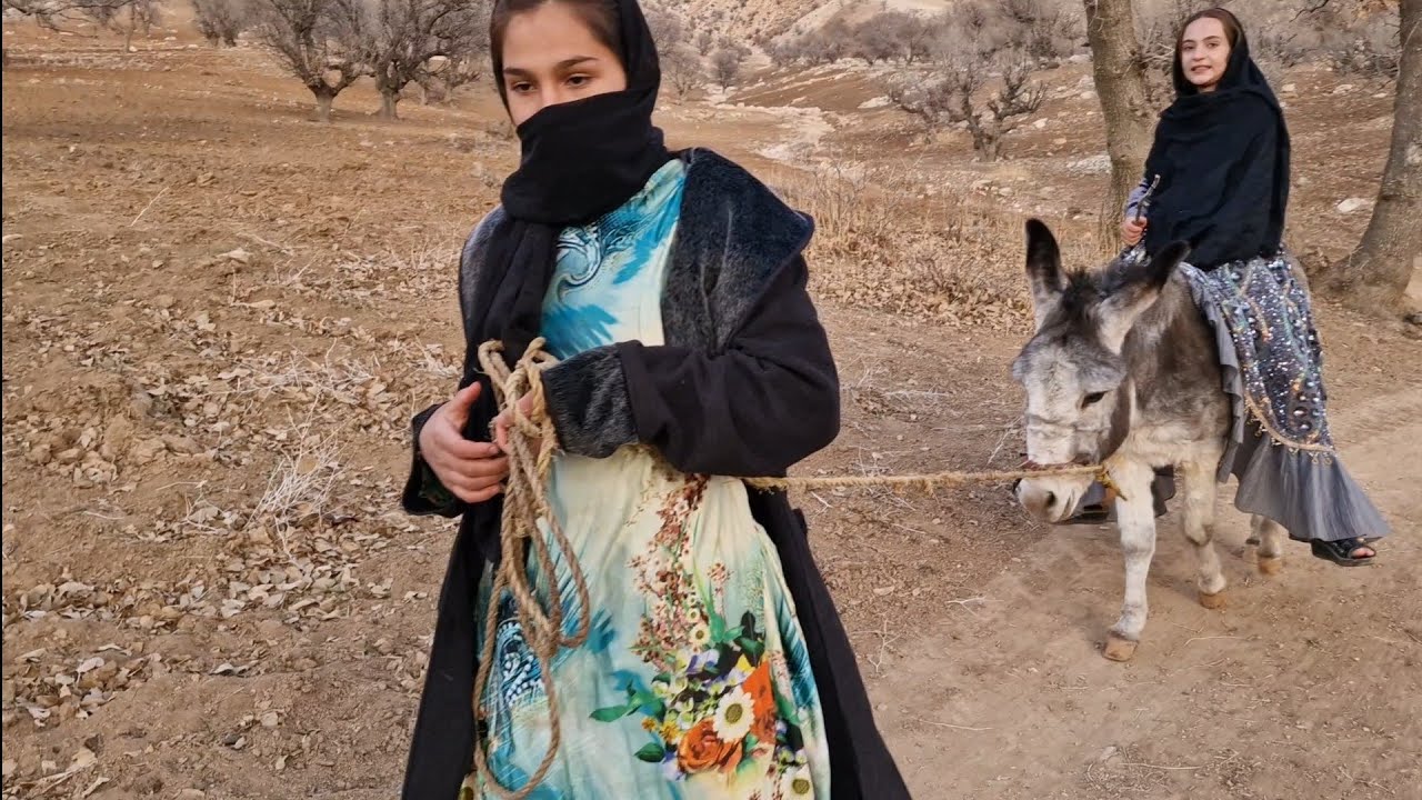 Daily life of nomadic girls: challenges and donkey riding to collect firewood