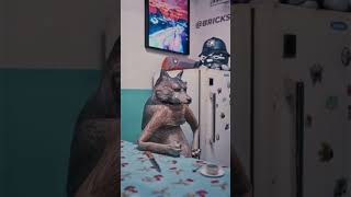 #funny #upandcomingyoutuber #ghostoftabor #joinme #tacticalassault #tacticalshooter #memes #funny