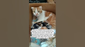 #youtube #subscribe #video #youtuber #music #love #newvideo #linkinbio #youtubechannel #like4like