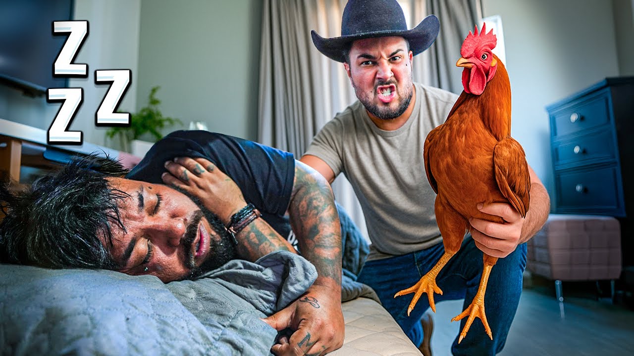 COLOQUEI O GALO NO QUARTO DO BOTO ENQUANTO ELE DORMIA !! * vocês deram essa ideia então eu fiz 🤣*