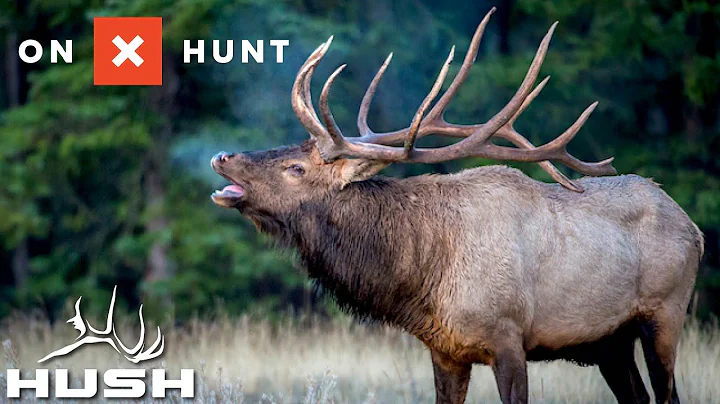 ONX HUNT E-SCOUTING LATE SEASON ELK