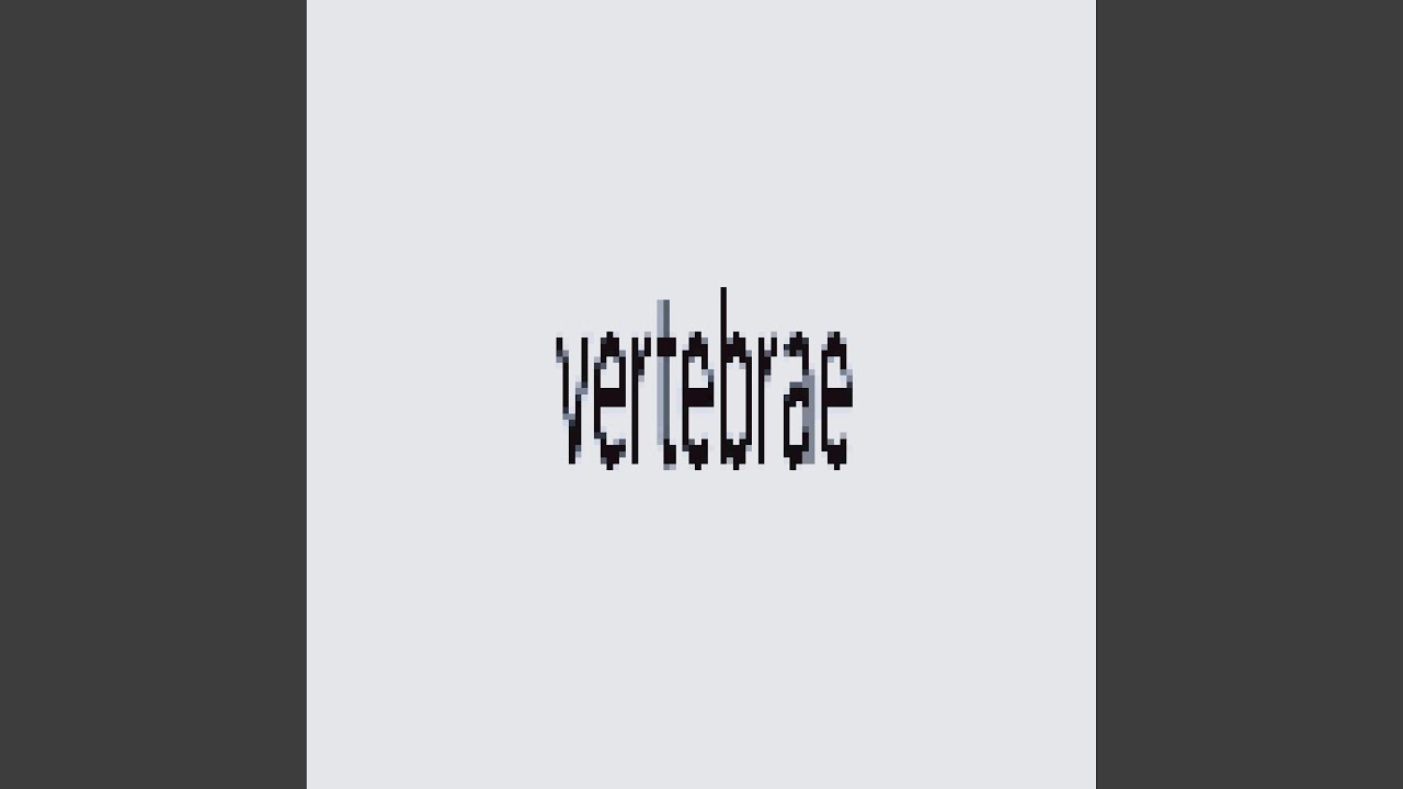 Watch vertebrae on YouTube Watch vertebrae on YouTube