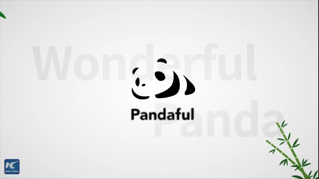 tv kanalları Summertime: Seize every #pandaful moment