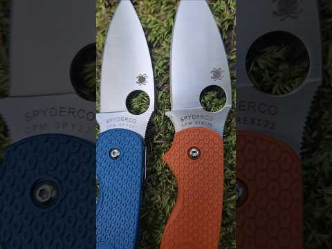 Spyderco Rex 121 or Spy27!?