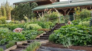 Late Summer Tasks in the Garden