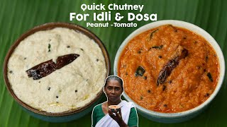 Quick Chutney Recipes For Idli & Dosa | Tomato - Peanut Chutney