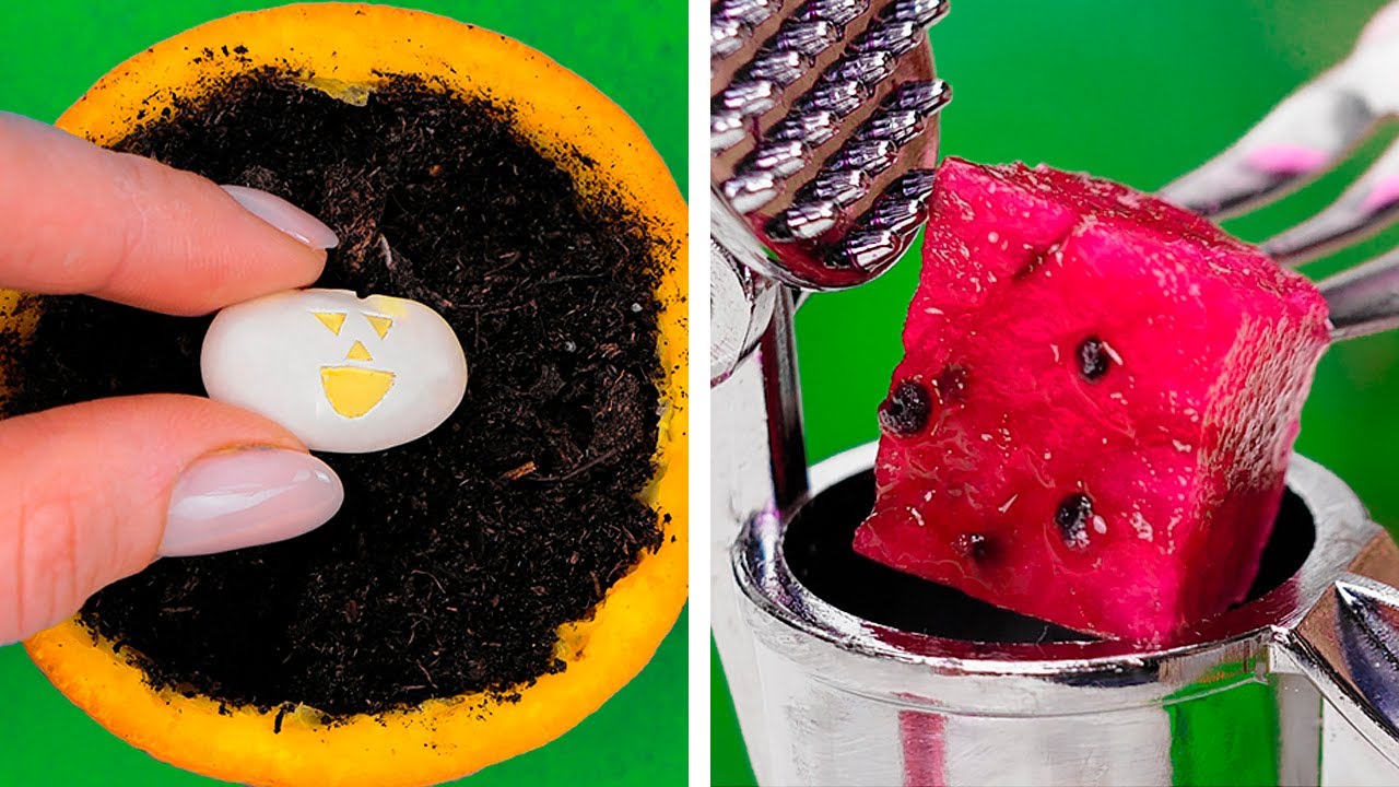 Smart plant hacks to grow your own garden - YouTube