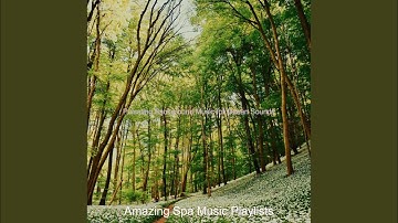 Mysterious Ambience for Ultimate Rejuvenation