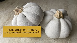 ТЫКОВКИ из гипса с настоящей цветоножкой - при помощи чулка! Получается совсем как настоящая!